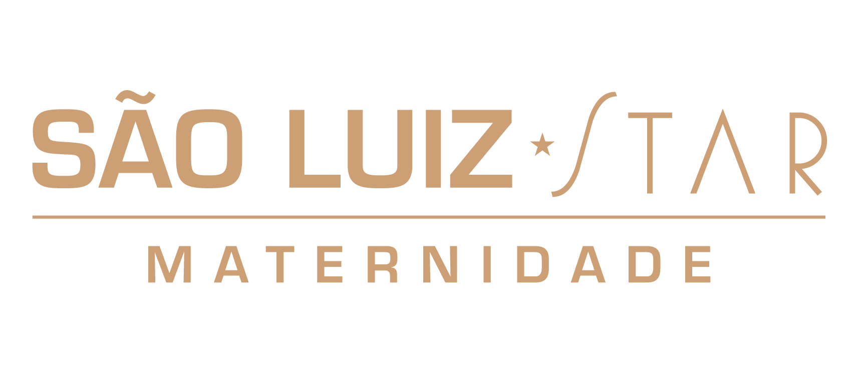Logo-Sao-Luiz-Maternidade